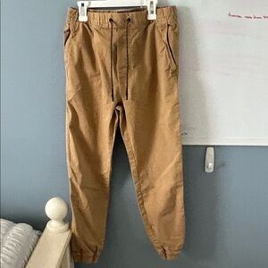 American Eagle Outfitters Men's Brown Chinos